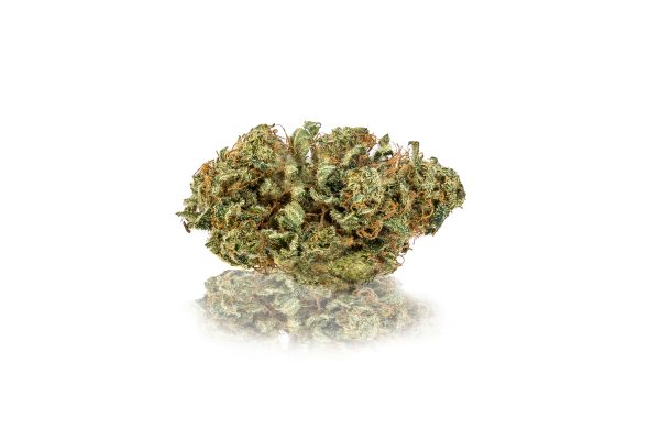 Orange CBD - Innenbereich – Bild 2