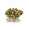 Orange CBD - Interior - Imagen 2