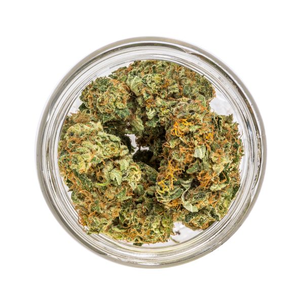 Orange CBD - Innenbereich – Bild 3