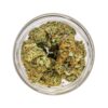 Orange CBD - Interior - Imagen 3
