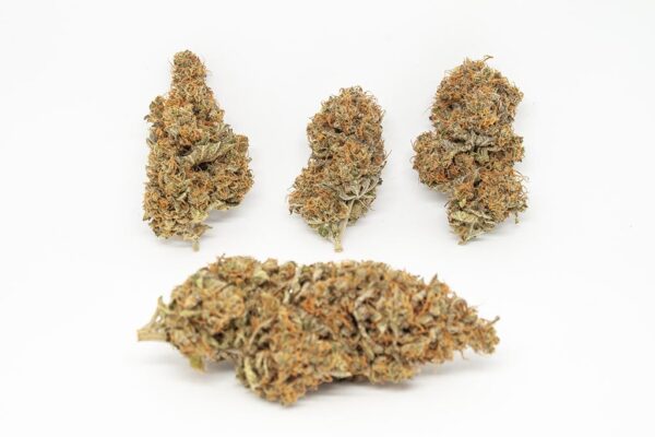 Zitrone CBD - Indoor – Bild 4
