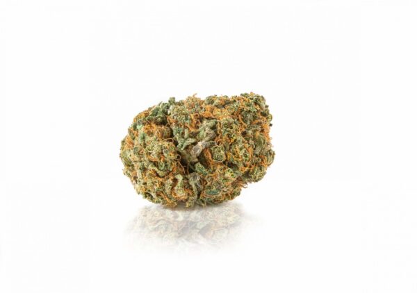 Fresa CBD Interior - Imagen 2