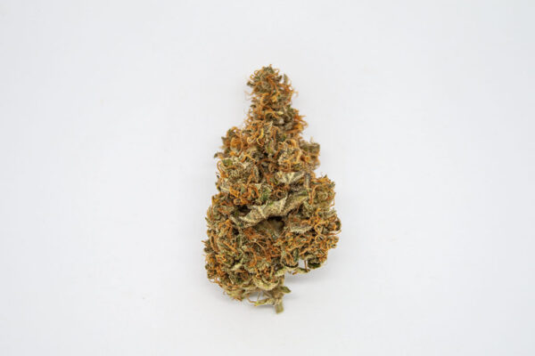 Zitrone CBD - Indoor – Bild 3