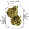So Good CBD - Indoor