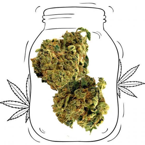 legal weed SoGood CBD cannabis CBD