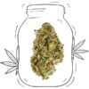Orange CBD - Interior