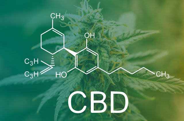 CBD effects