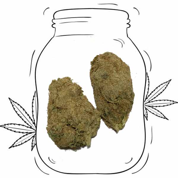moon rocks erba legale cbd cannabis