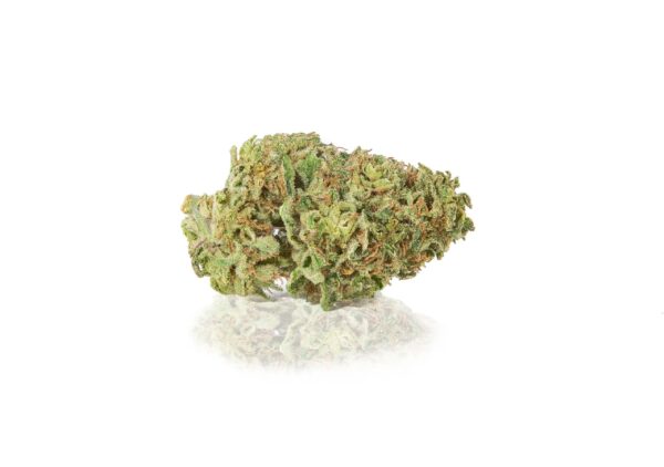 Purple CBD - Interior - Imagen 2