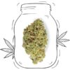 Purple CBD - Innenbereich
