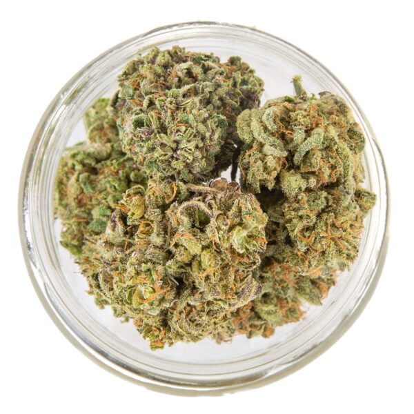 Purple CBD - Interior - Imagen 3
