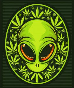 Außerirdisches Mondgestein Cannabis Licht CBD