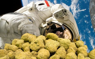 Moon Rock Scopriamo Insieme di cosa si tratta