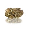 Skunk CBD Indoor – Bild 2