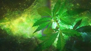 Ingredientes activos del cannabis CBG