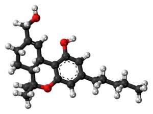 active substances cannabis CBD