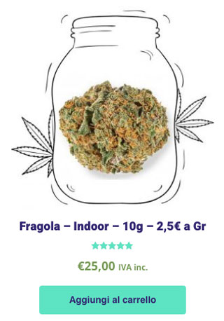 fragola cbd strawberry legale cannabis light