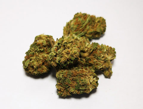 cannabis marijuana legale categoria b