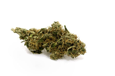 cannabis marijuana legale categoria c