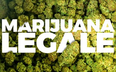Cime di Marijuana Legale: cosa sono e come distinguere prodotti di qualità