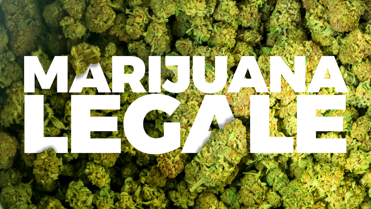 Cannabis legale cbd marijuana qualità cime