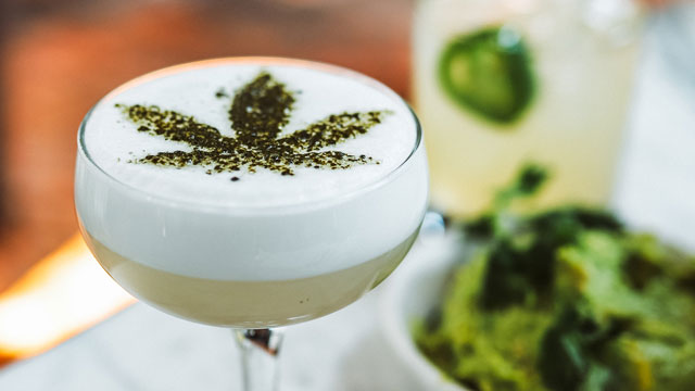 vodka cannabis in cucina canapa light ricette