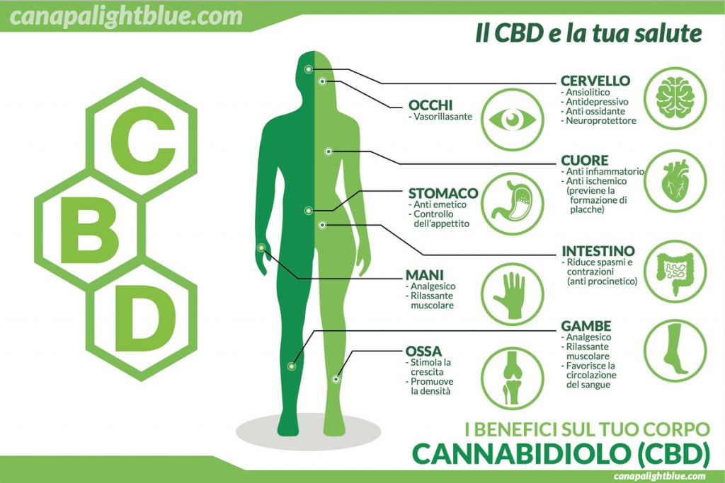 Bienfaits du CBD sur l’organisme