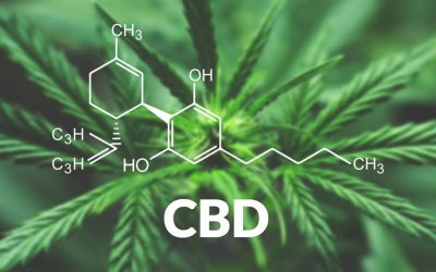 Les effets du CBD sur votre corps