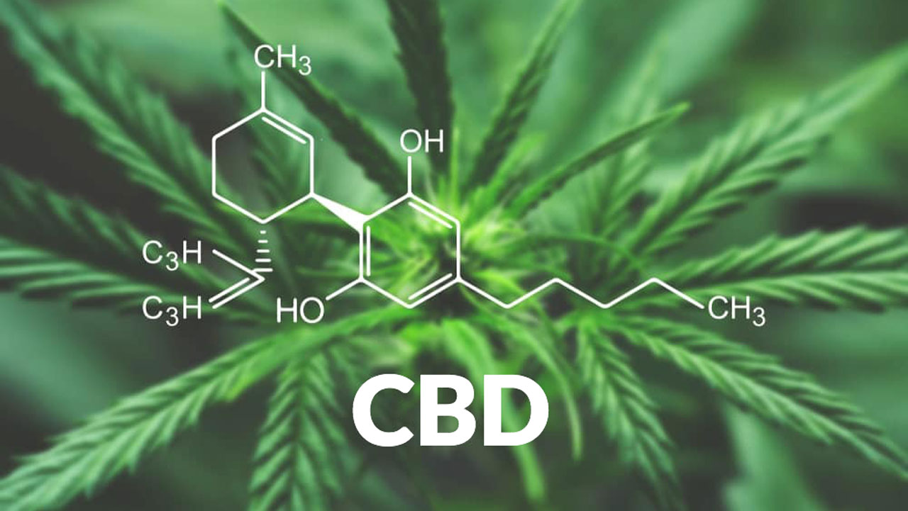 Effects of cbd on the body