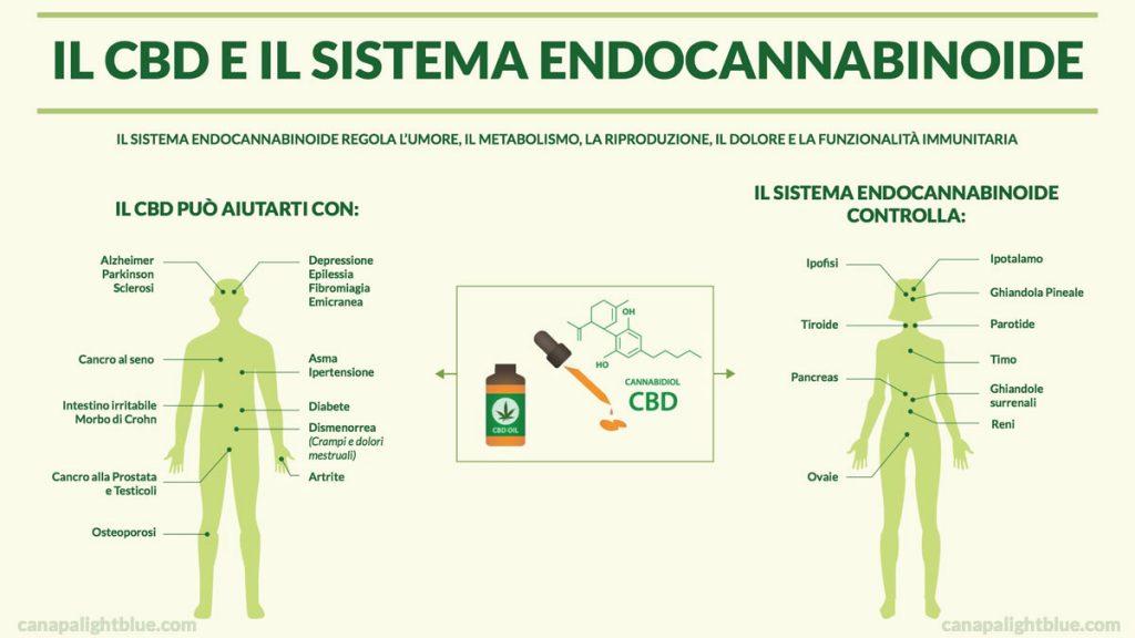 Sistema endococabinoide de CBD