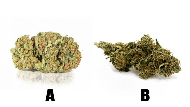 Prueba de cannabis legal en interior vs exterior