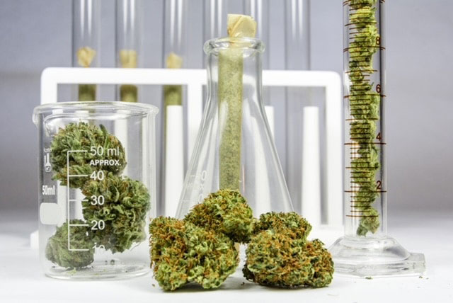 flowers of legal weed analyzed