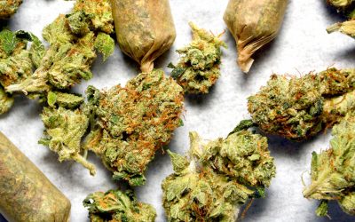The Best strains of Legal Cannabis