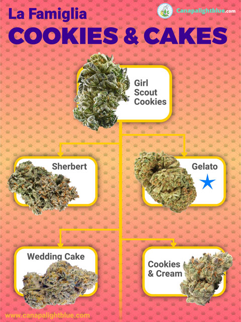 Galletas familiares de variedades de cannabis legal