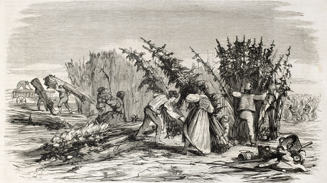 l’histoire du cannabis en Italie