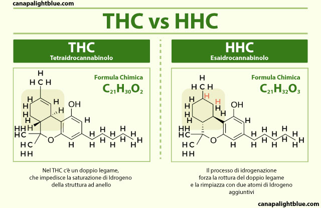 Unterschied zwischen THC und HHC