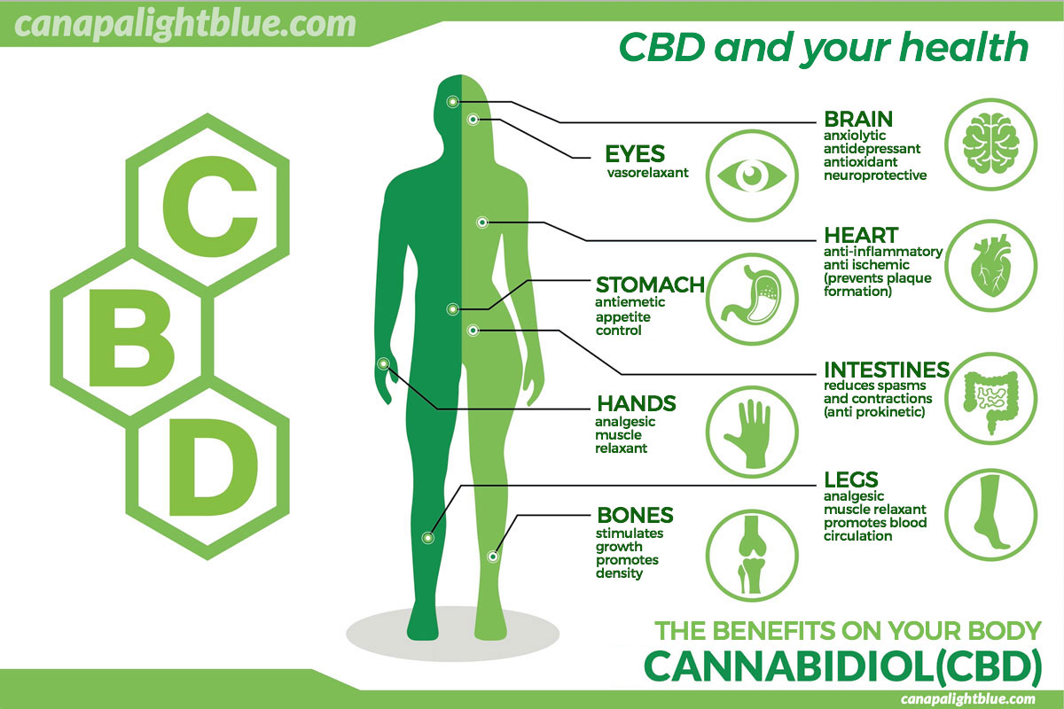 benefits of cbd on the body