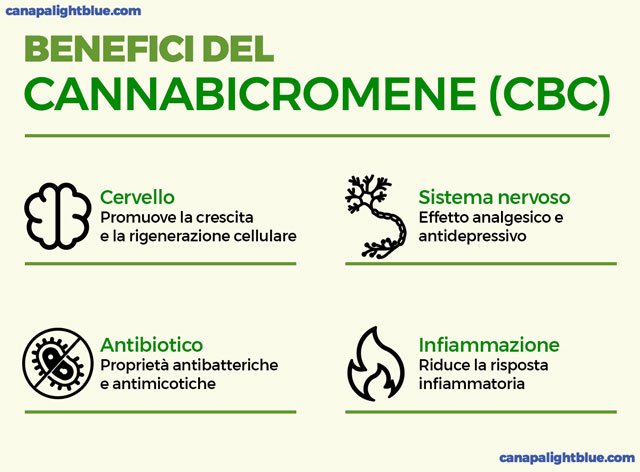 benefits and effects of CBC