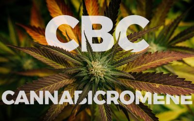 Cannabichromene (CBC): let’s find out the benefits of this cannabinoid