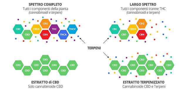 Cannabinoides y terpenos Efecto séquito cannábico