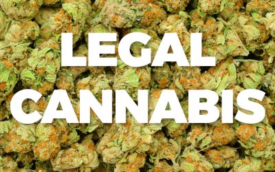 Buds of Legal Marijuana: what are they and how to recognize quality products