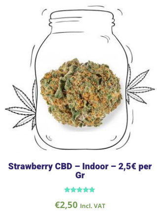 fragola cbd strawberry legal cannabis light