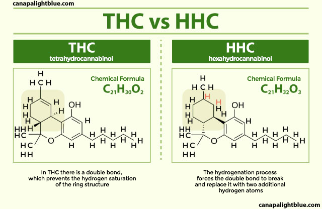 difference between thc and hhc