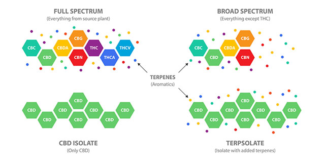 cannabinoids and terpenes entourage effect cannabis