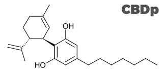 struttura del CBDP cannabis legale