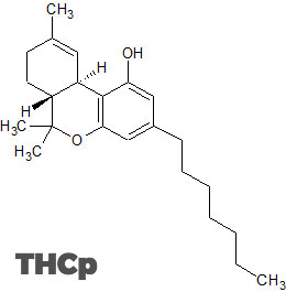 struttura del THCP cannabis legale