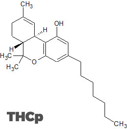 Estructura del THCP Cannabis Legal