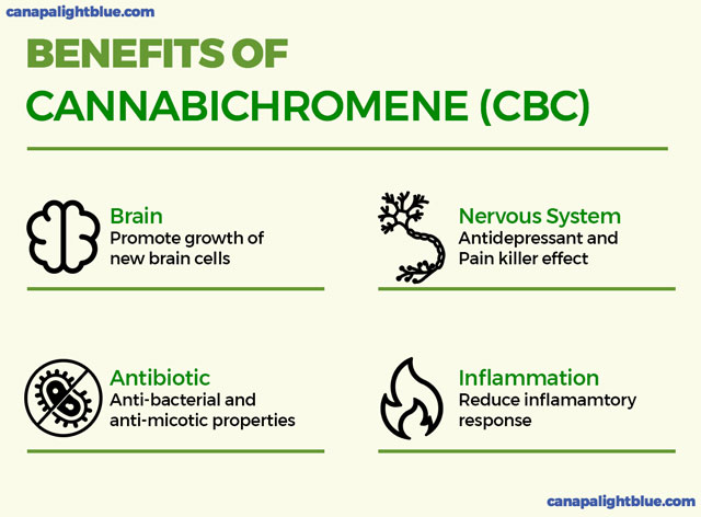 benefits and effects of CBC