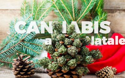 The cannabis tradition at Christmas