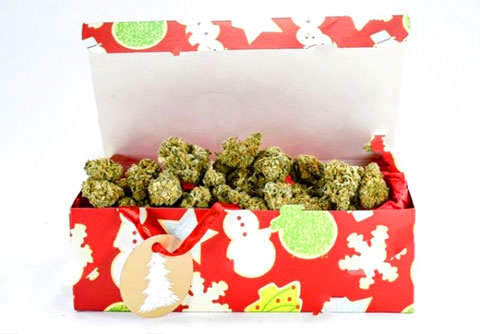 Verschenken Sie Cannabis zu Weihnachten CBD CBD Hanf Licht